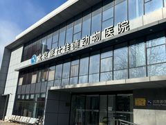 -北京派仕佳德动物医院·超导核磁·CT·神经科·骨科·内外科·急重症管理中心