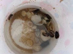 -天津东疆湾沙滩景区