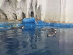 -太平洋海底世界