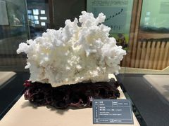 -秦岭终南山世界地质公园翠华山景区