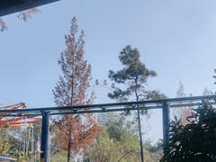 -塔子山公园