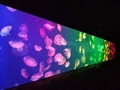 -成都浩海立方海洋公园