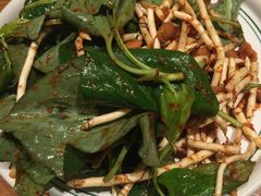 版纳拌折耳根-云海肴·汽锅鸡·云南菜(天山百盛优客店)