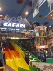 -卡通尼·Safari非洲探索乐园·生日会(金桥国际商业广场店)