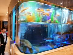 水产区-稻香迎囍皇宫(港惠店)
