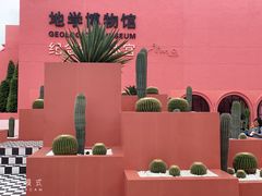 -漳州滨海火山岛自然生态风景区