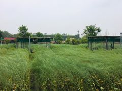 -洪湖家庭农场·团建·露营·会议