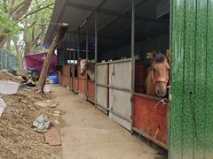 -无锡梅园公园