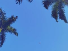 -荔香公园