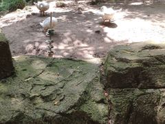 -昆山城市生态森林公园