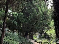 -叶家花园
