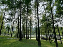 -牛岗山公园