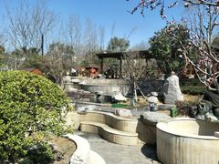 -思念果岭悦温泉