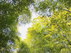 内景-宝岩生态观光园