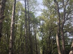 -同里国家湿地公园