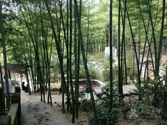 -江南天池高山汤泉城