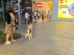 -中粮·祥云小镇