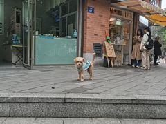 -羊羊鸡蛋仔(大学城店)