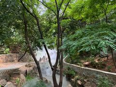 -北京西山国家森林公园