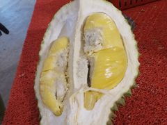 -都念榴莲·城市榴莲