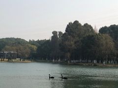 -新洲生态园