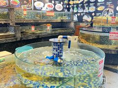 -寻味顺德·珍之宝酒楼(银钻店)