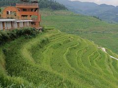 -紫鹊界梯田景区