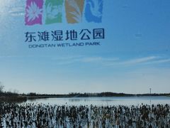 -东滩湿地公园观海楼餐厅