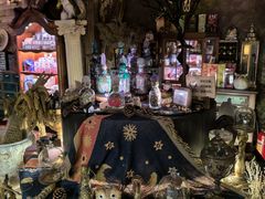 -雪灵魔法世界SHELLY’S TAROT(大良桂畔里店)