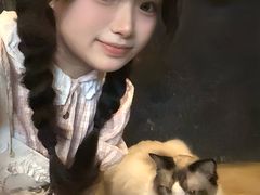 -猫猫幼稚园·撸猫·桌游·电玩