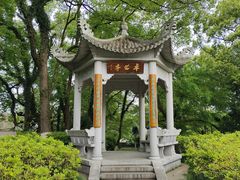 -江心屿景区
