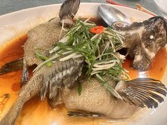-永記粤菜·五指毛桃花雕鸡煲(九亭店)