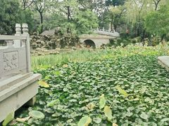 -莲湖公园