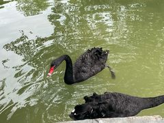 -灵玲国际马戏城