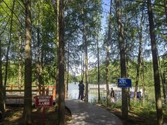 -上海海湾国家森林公园
