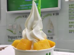 -Salud撒露欧洲冻酸奶(北苑上品店)
