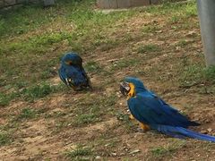 -石家庄市动物园