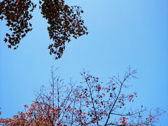 -金海湾滨江公园