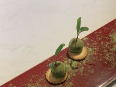 -荟廷·晶萃(陆家嘴尚悦湾店)