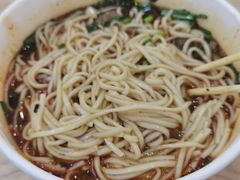 -绵阳南郊机场
