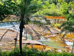 -广州白江湖森林公园