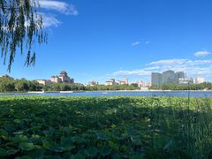 -莲花池公园