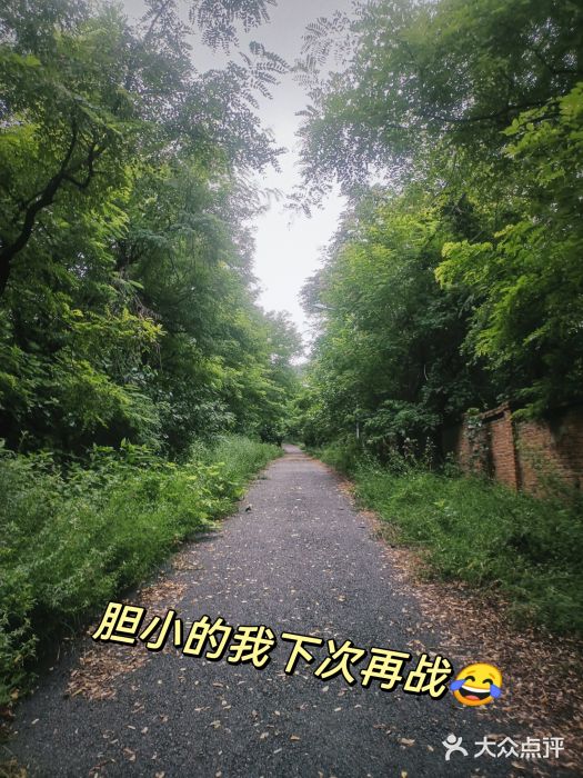 西尖山公园图片