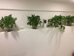 -武氏真功夫(第14店·新业广场店)