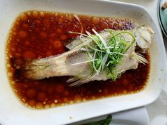 -云中小雅