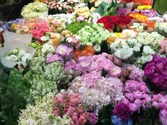 -双季花艺园艺市场(浦东店)