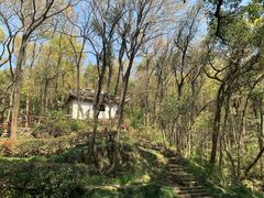 -宁波市保国寺古建筑博物馆