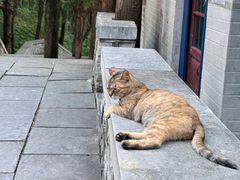 -四门塔风景区