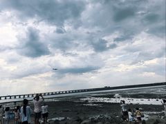 -宝安西湾红树林湿地公园