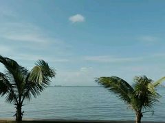 -万绿园